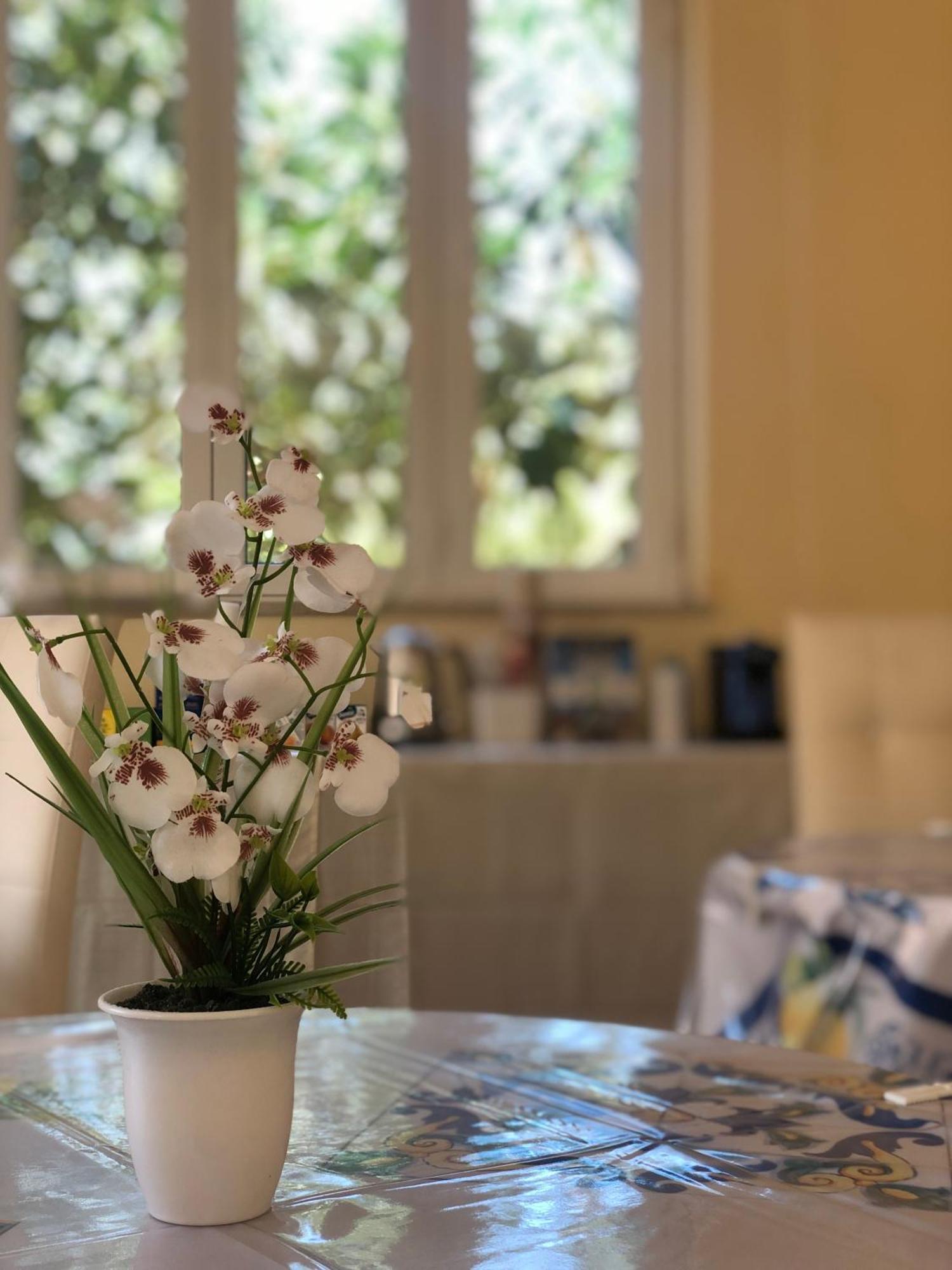 Thalassa Suite & Spa ريجّو دي كالابريا المظهر الخارجي الصورة